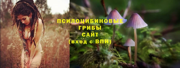 твердый Корсаков